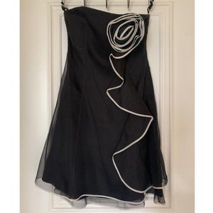 Coast asymmetrical Organza dress